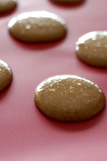 Schokoladen Macarons nach Aurélie Bastian | Rezension - LieberBacken